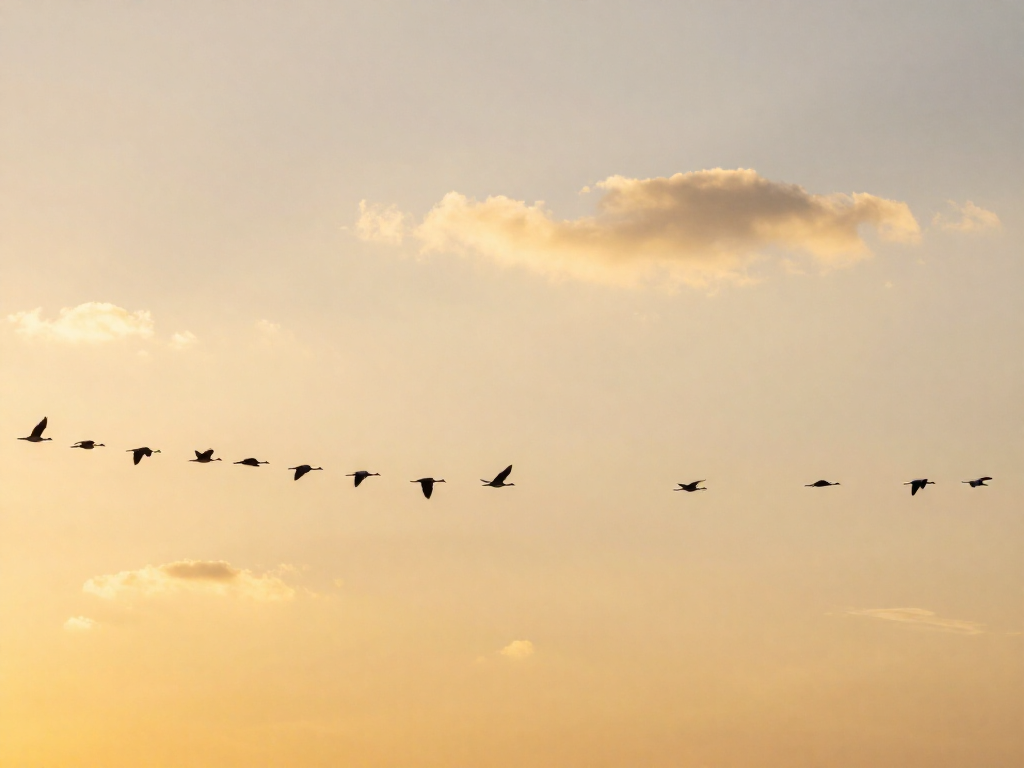 A flock of birds flying in V-formation against a glowing sunset sky
